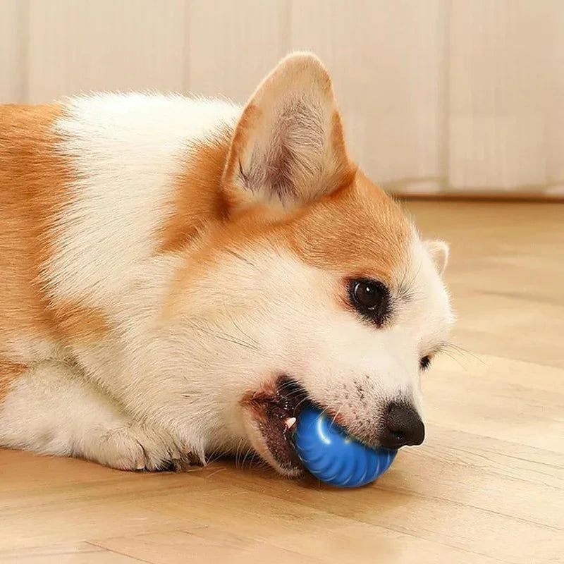 FurryHQ™ presents Smart Interactive Electronic Toy Ball